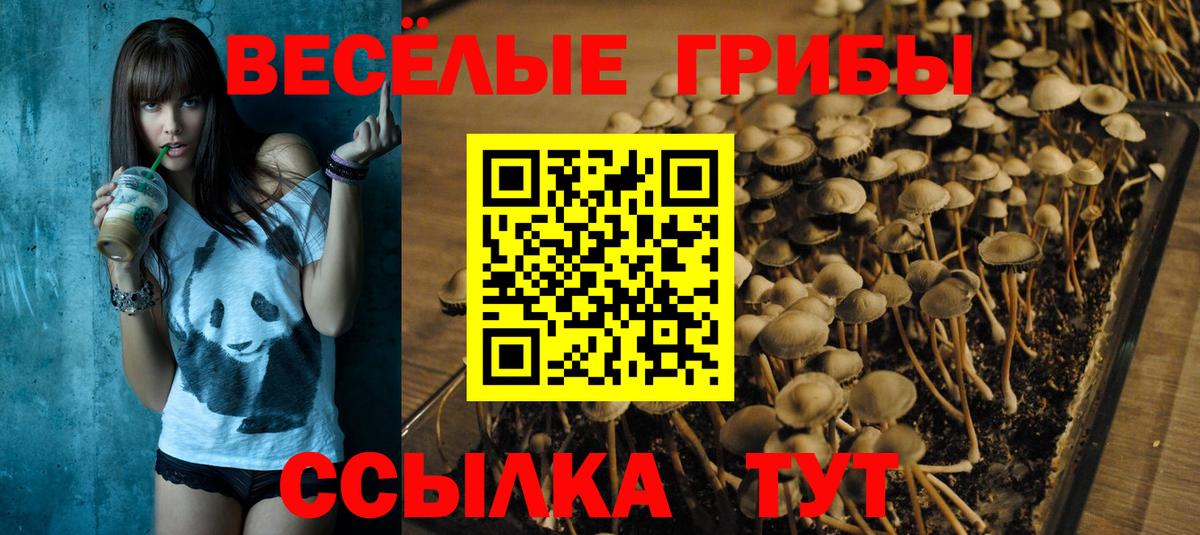 где найти наркотики  Псилоцибиновые грибы прущие грибы  Вход с VPN  Сафоново 
